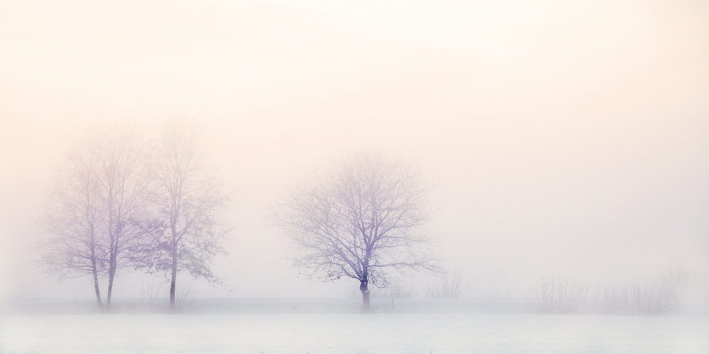 Bild einer Winterlandschaft zur Veranschaulichung der Ruhe und des Rückzugs in dieser Jahreszeit. 